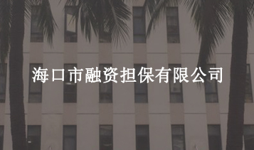 ?？谑腥谫Y擔(dān)保有限公司
